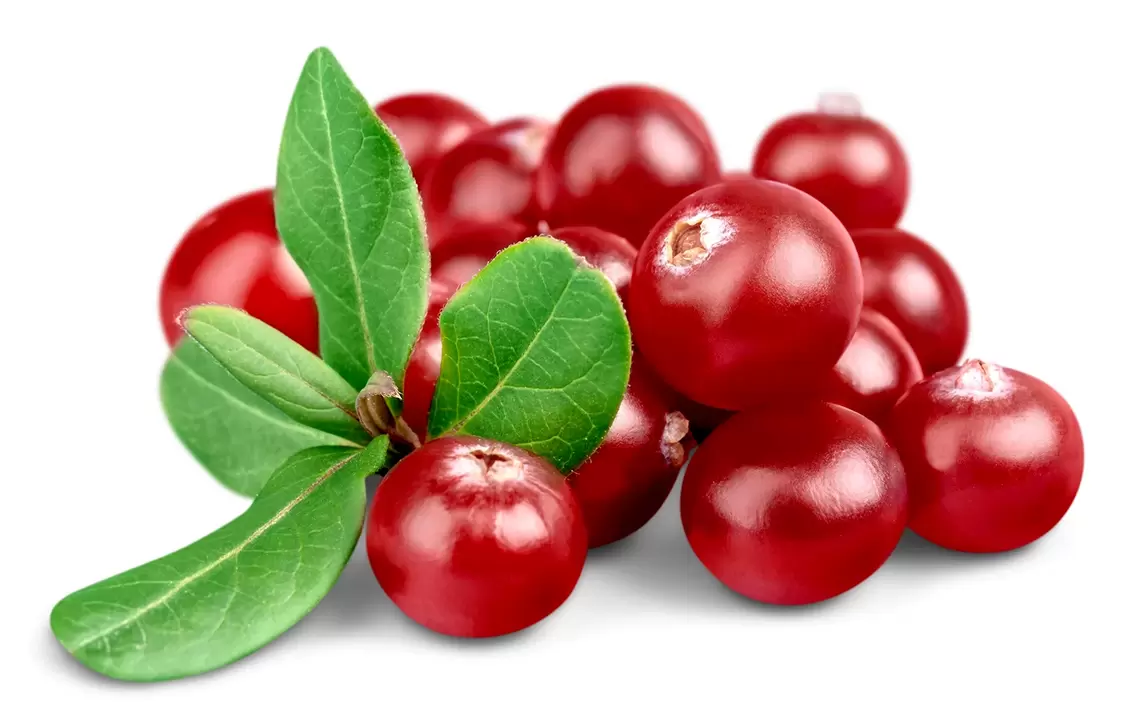 Cranberries Urosaf kapsuletan